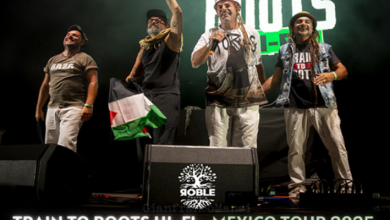 Train to Roots Hi-Fi - Tour in Messico 2025